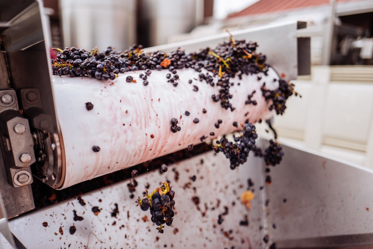 August Family Vineyards