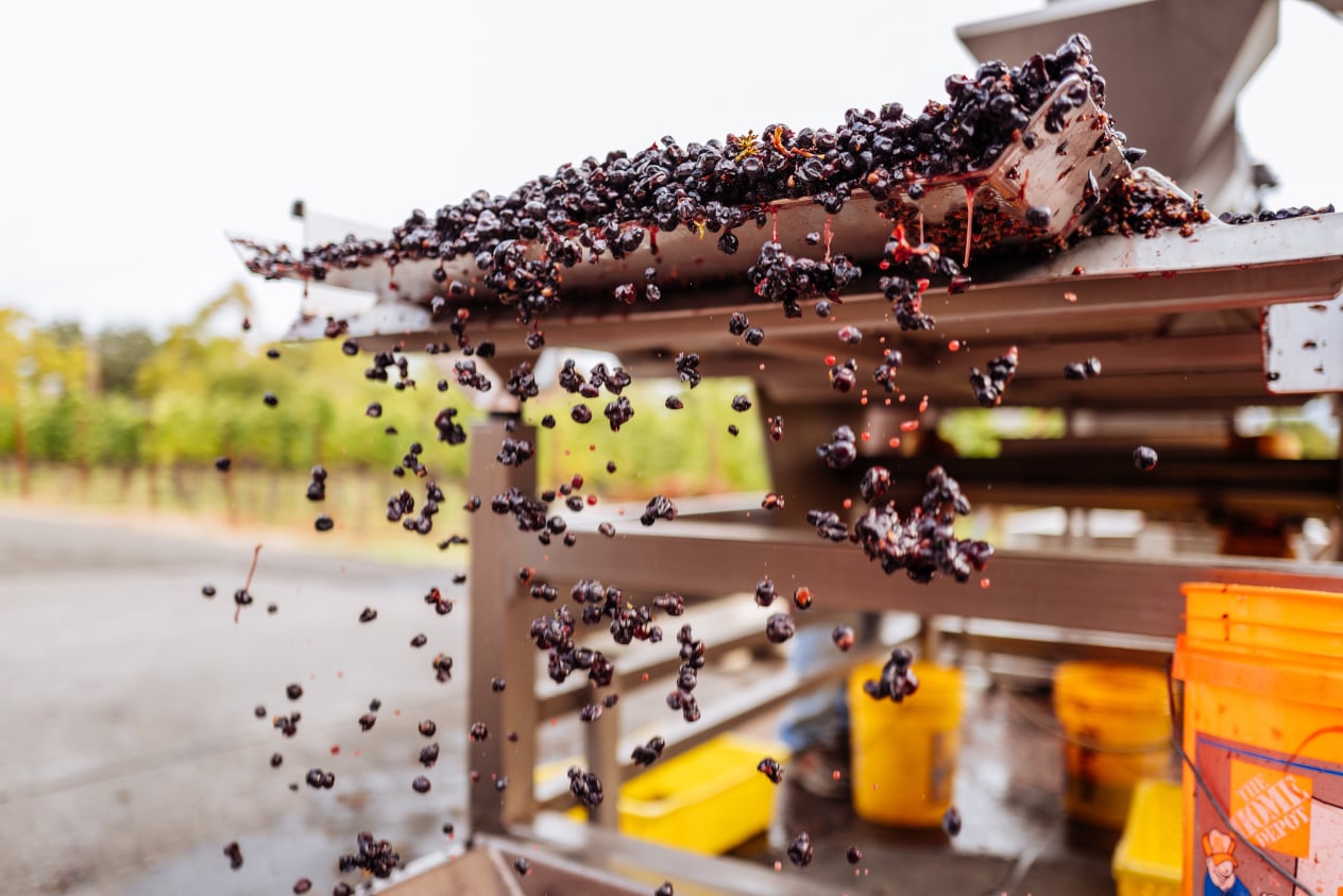 August Family Vineyards