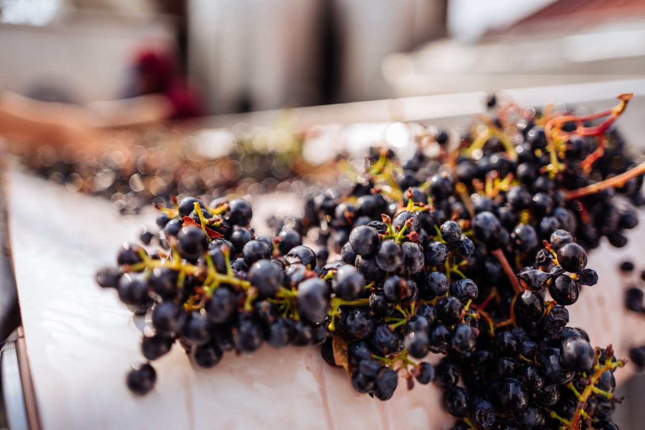 August Family Vineyards