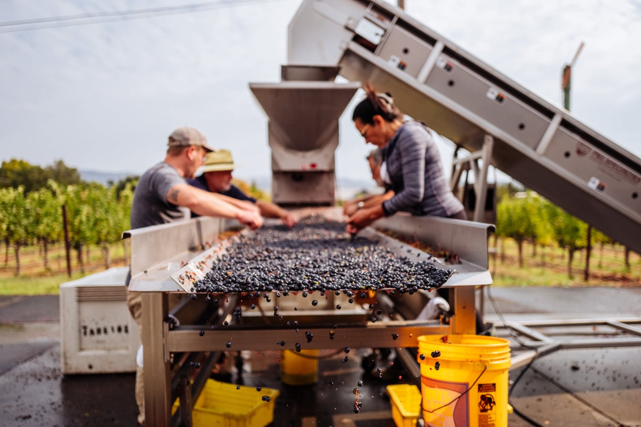 August Family Vineyards