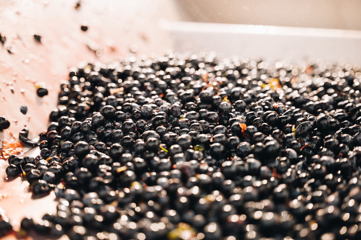 August Family Vineyards