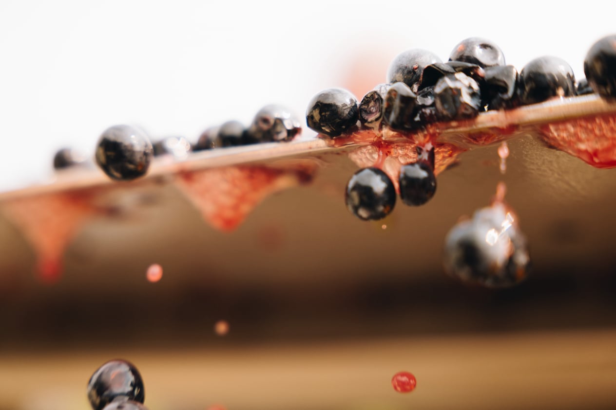 August Family Vineyards